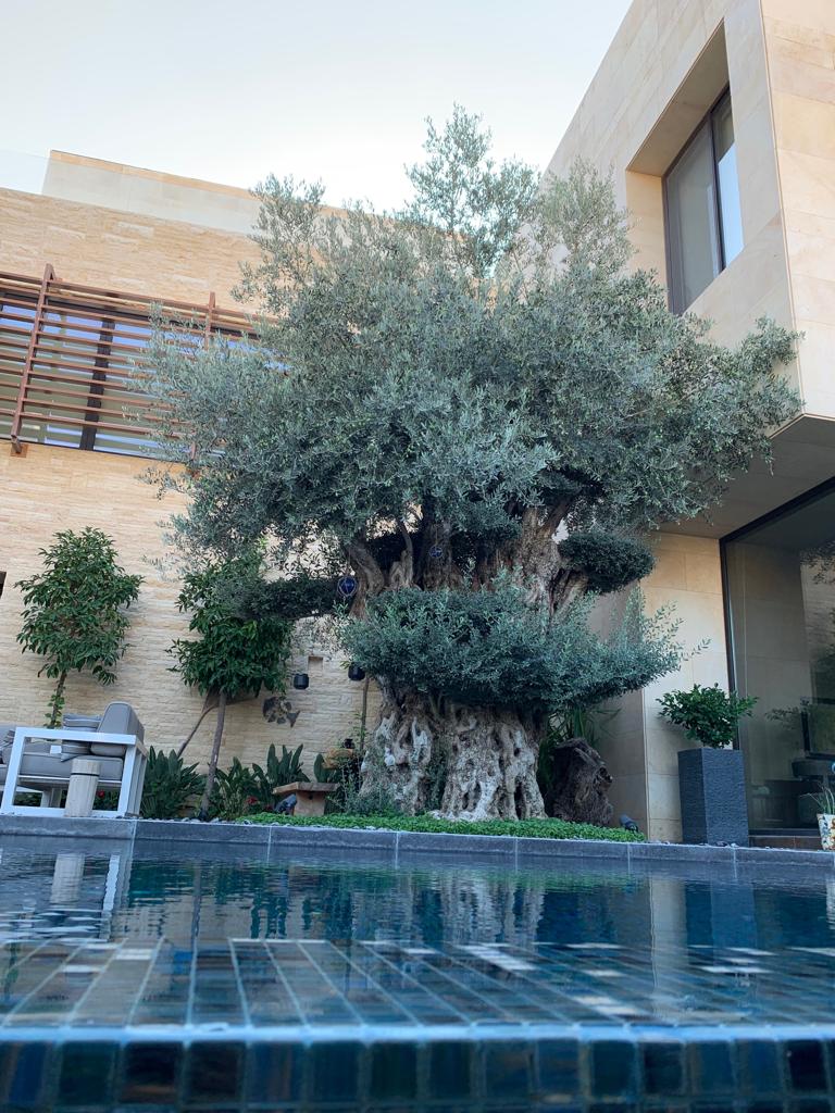 property_gallery_img_6927